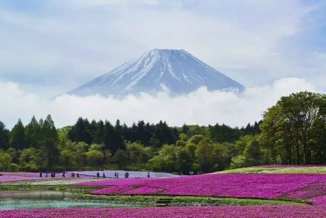 日本留学福利和定居日本优势分析