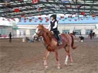 上海新纪元双语学校校长谈教育，教育的情调关乎教育的本质、功能、理念及其哲学