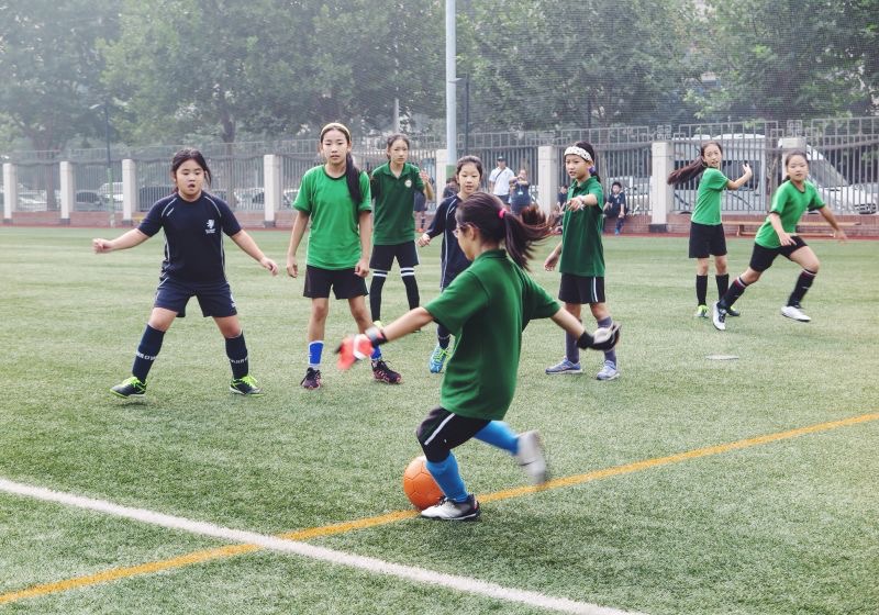 2020年青苗国际双语学校国际小学插班须知