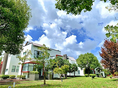 上海美达菲学校8月开放日更新