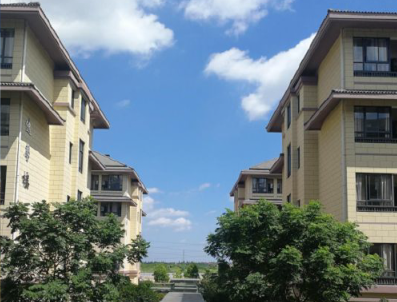 杭二树兰高中新加坡国际班优势