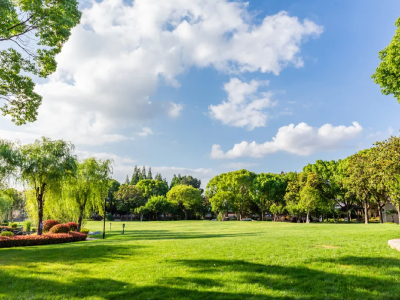 上海美华学校开放日/考试安排