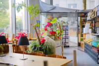 全美名校国际本科课程项目 信息