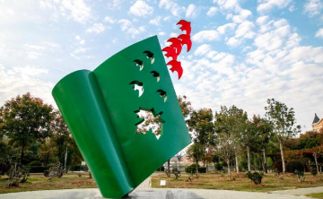 武汉枫叶国际学校初中中英双语课程