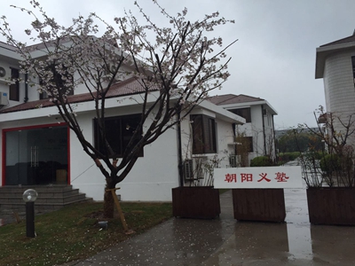 樱花下的校牌