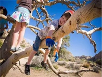 天津黑利伯瑞国际学校学费一年多少？