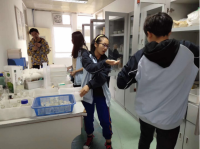 南京师范大学附属实验中加项目招生简章