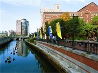 offer雨来袭！一大批世界名校录取驾到！