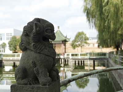 上实剑桥国际高中2021年考情是什么？