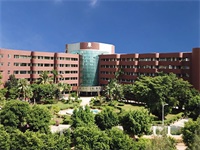 海南枫叶国际高中预备课程有哪些课程亮点？