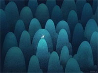 领科教育上海校区为什么这么受欢迎?