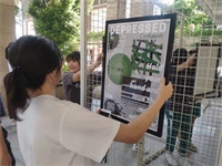 省实IFPADers优秀艺术作品展,了解艺术设计背后的故事!