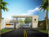 新加坡茵维特中英文学校龙华大校区 2021 年招生计划