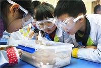 上海尚德实验学校融合部介绍