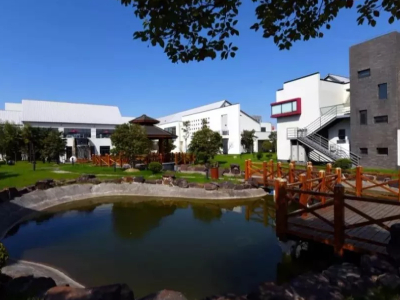 上海美达菲学校春招动态