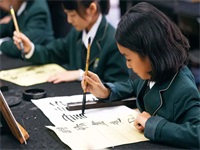 深圳实验学校国际教育基地录取喜报 | 美英澳加offer大盘点，他们拿下哪些超级牛校？