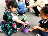 奇妙的小学科学周