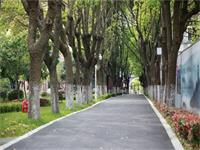 苏州阿德科特2021-2022年的招生简章