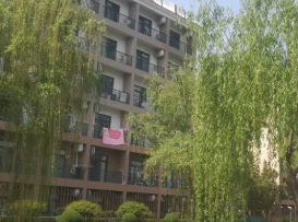 上海英澳新国际高中专项课程计划包括哪些?