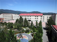 北京市师达中学升学情况如何？