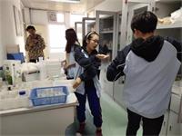 招生资讯|南师附校北美高中中加招生须知