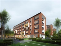 引领示范，以研促教｜走进长沙克雷格学校小学英语组（二）