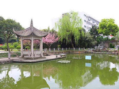 交大A Level校园