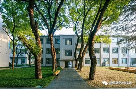 【德佩斯苏州校区】还在纠结课程选科？德佩斯校长亲自上阵答疑！