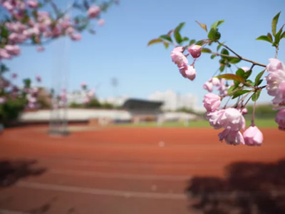 上海诺科学校开放日时间具体安排预约报名中