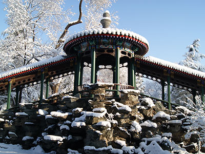 领科教育北京校区奖学金设置