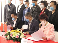 开启国际艺术教育新纪元，辰美国际艺术教育联盟正式成立！