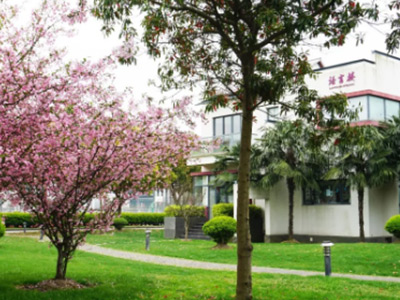 上海美达菲双语高级中学8月秋招末班车