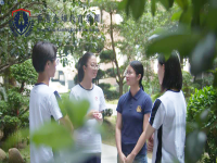 金辉教育更名为鲸帆教育品牌升级 打造DSE国际升学全链条服务