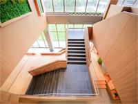 上海德英乐学院开放日时间是什么时候？具体考试内容如下：