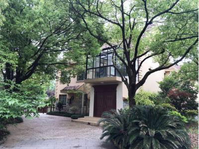 干货：赴德留学，德福考试和DSH考试怎么选？