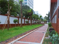 深圳新哲书院高中课程设置如何？