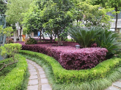 NHA-STEM美国高中课程2020年秋季招生说明会安排