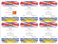 喜报丨省前中国际分校学子喜获加拿大初级化学奥赛全国金奖