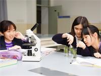 华二附属中学国际部2021年招生简章【可招六年级新生&插班生】