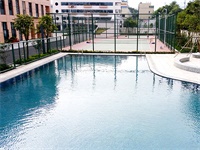 深圳枫叶国际学校升学情况如何？