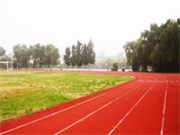 活动预告丨5.19家庭日之艺术科技文化体育节即将开幕！