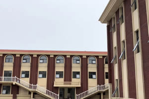 2020年天津格瑞思学校一年级招生简章