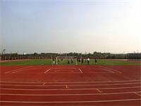 黑利伯瑞国际学校奖学金设置