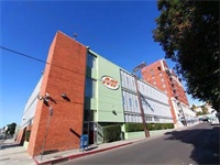 省实IFPADoffer捷报|帕森斯、皇家中央、美国MI音乐学院等艺术牛校offer来袭!