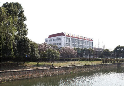 上海交通大学继续教育学院 A Level 国际课程问题