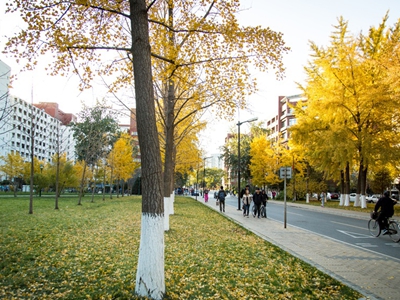 易赛思国际高中奖学金设置