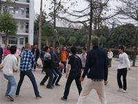 中加枫华国际学校双语小学招生简章