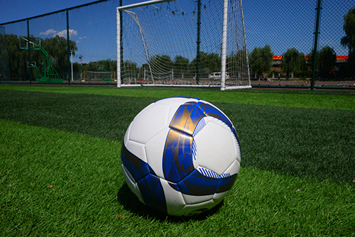 北京新府学外国语学校国际高中艺术课程