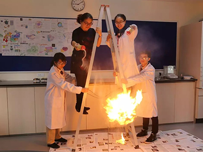 上海七宝德怀特国际学校招生方案