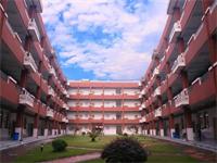 中加枫华国际学校趣味社团介绍